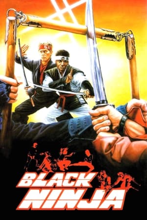 忍者太保之武士行