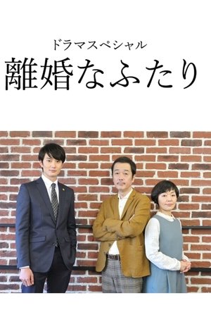 离婚的二人