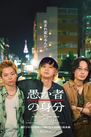 愚者的身份