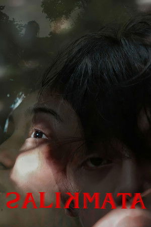 孽瞳