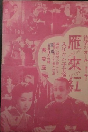 雁來紅