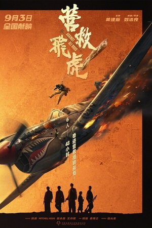 营救飞虎
