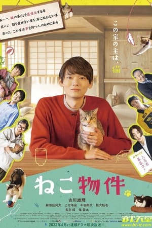 猫咪合租屋