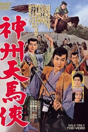 神州天馬侠