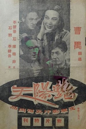 艳阳天