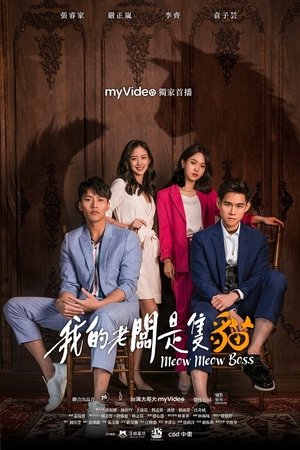 我的老板是只猫