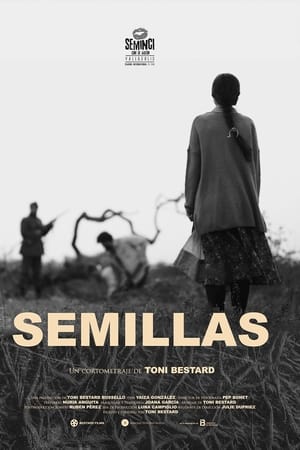 Semillas