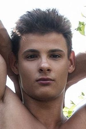Andrei Karenin